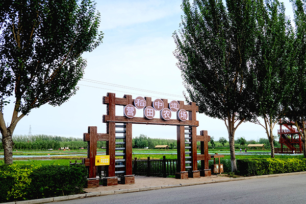 盤錦營(yíng)田米業(yè)有限公司